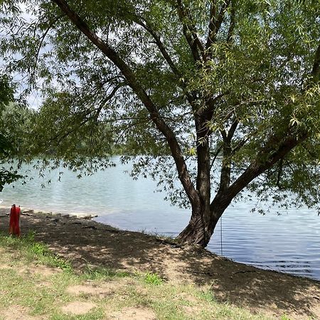 Camping Oaza Bela Crkva  Luaran gambar