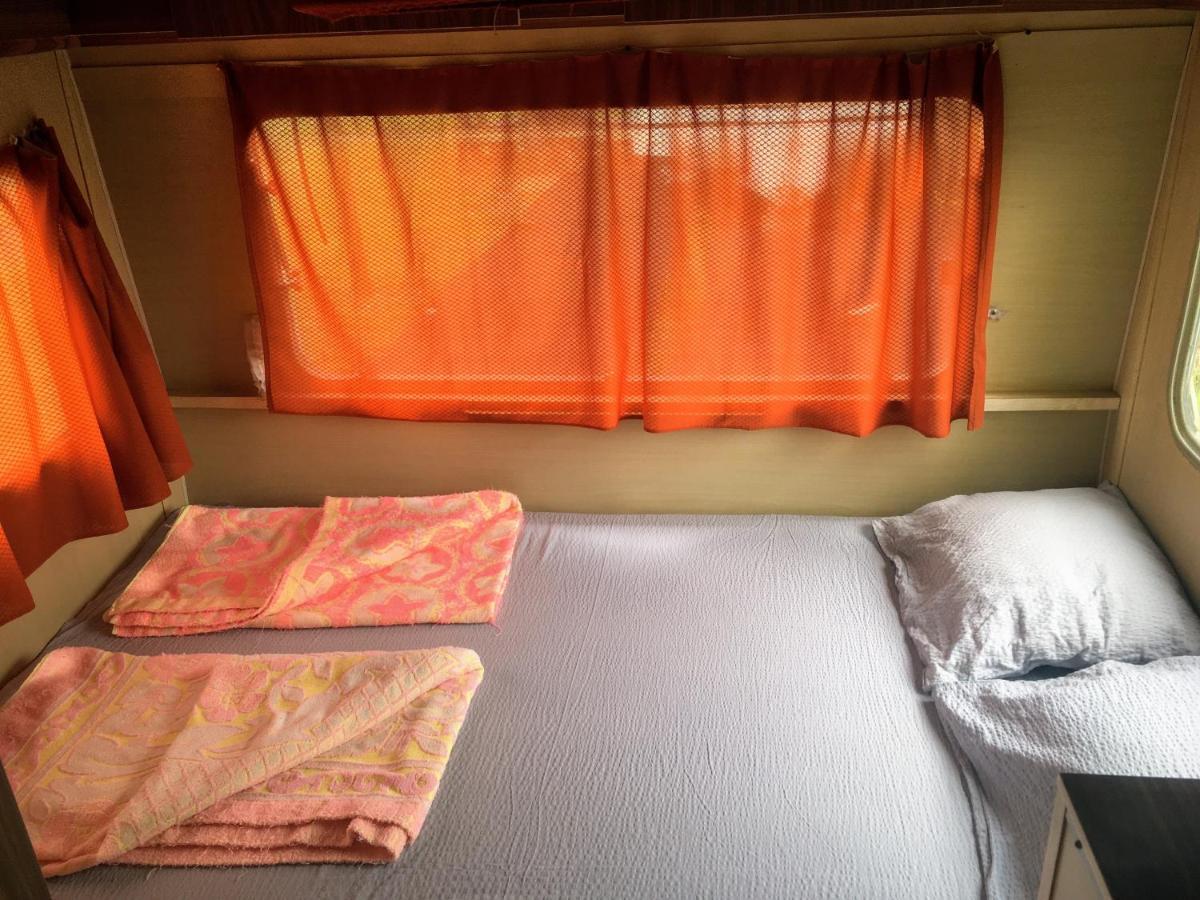 Camping Oaza Bela Crkva  Luaran gambar