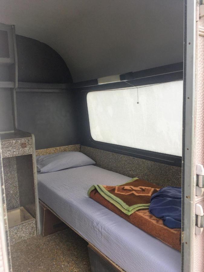 Camping Oaza Bela Crkva  Luaran gambar