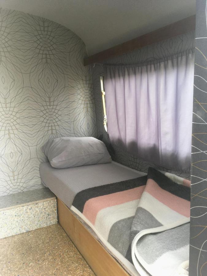 Camping Oaza Bela Crkva  Luaran gambar