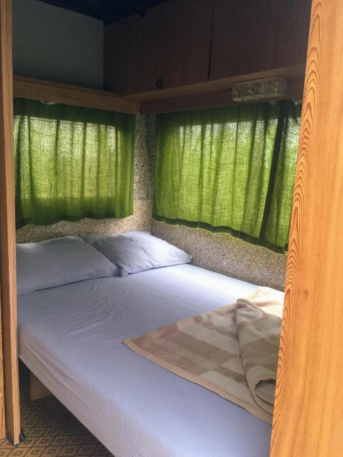 Camping Oaza Bela Crkva  Luaran gambar