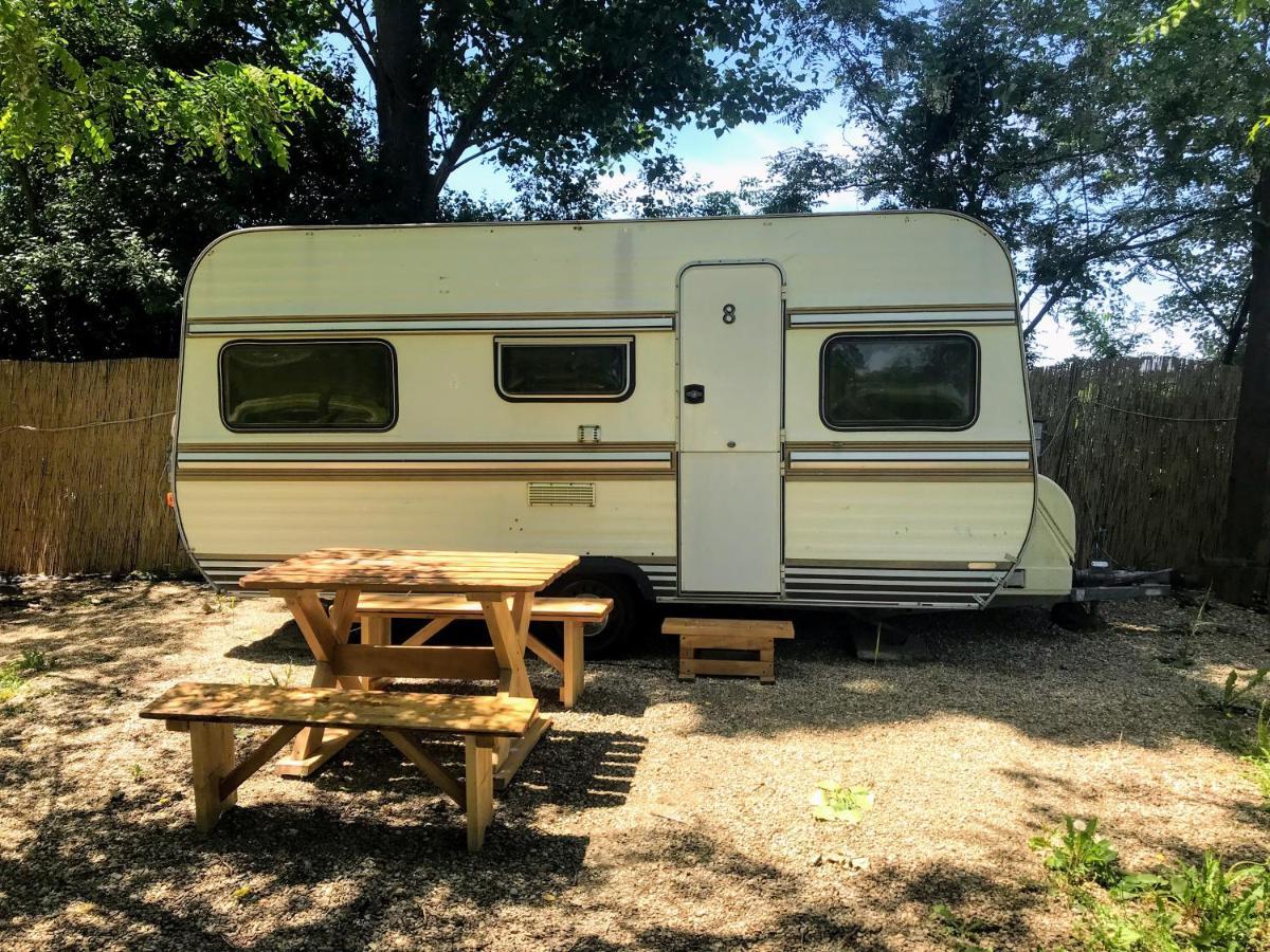 Camping Oaza Bela Crkva  Luaran gambar