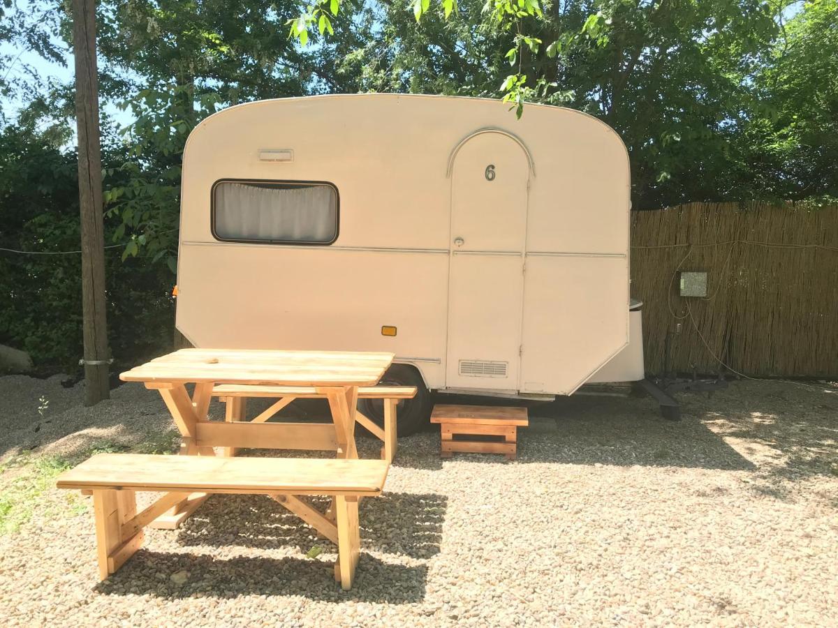 Camping Oaza Bela Crkva  Luaran gambar