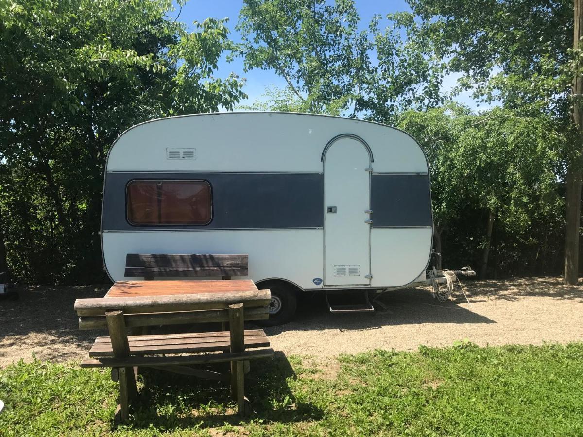 Camping Oaza Bela Crkva  Luaran gambar