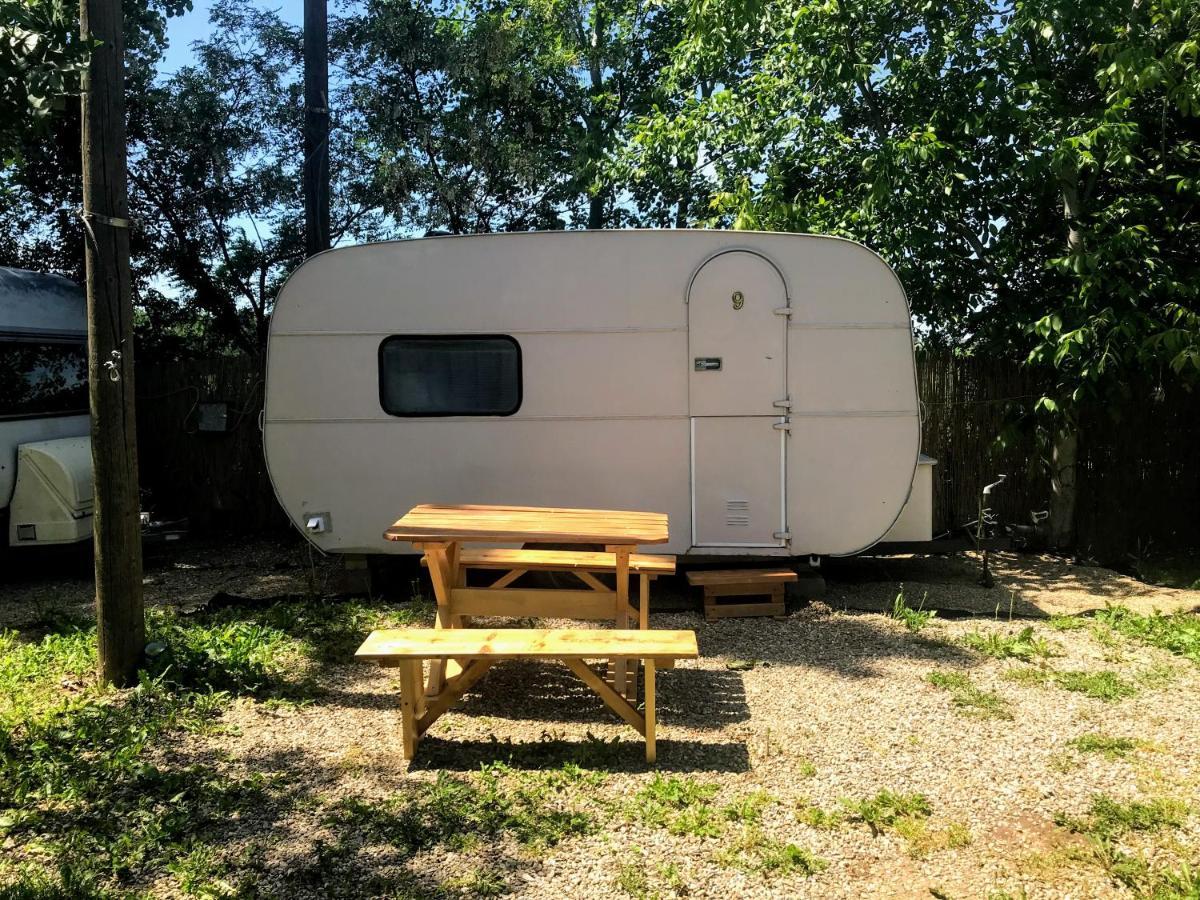 Camping Oaza Bela Crkva  Luaran gambar