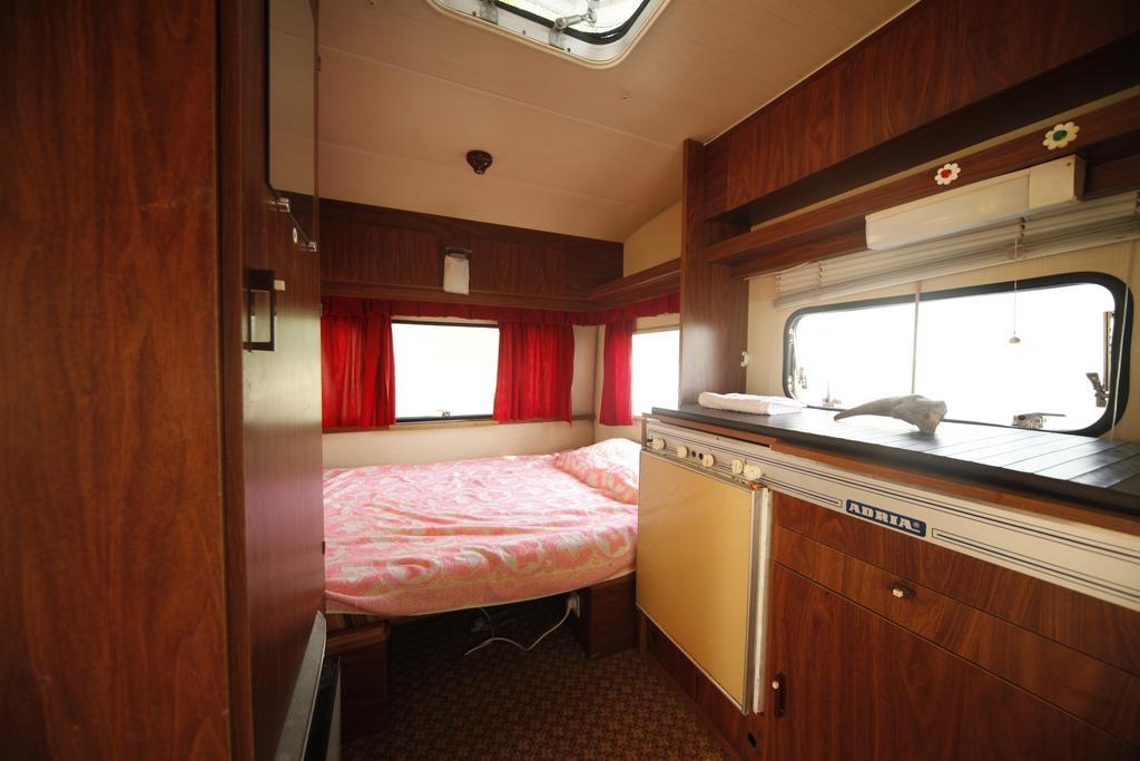 Camping Oaza Bela Crkva  Luaran gambar