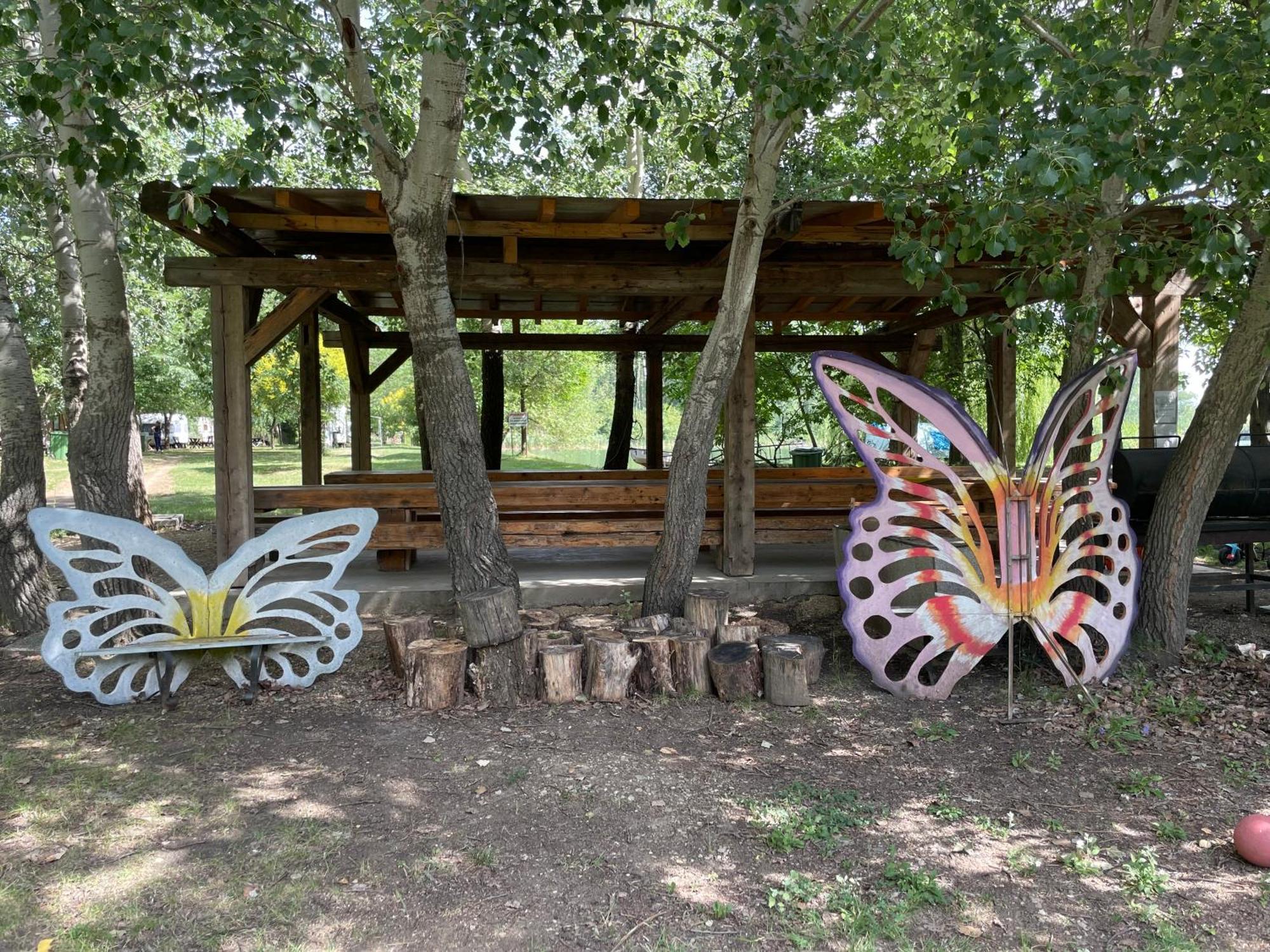 Camping Oaza Bela Crkva  Luaran gambar