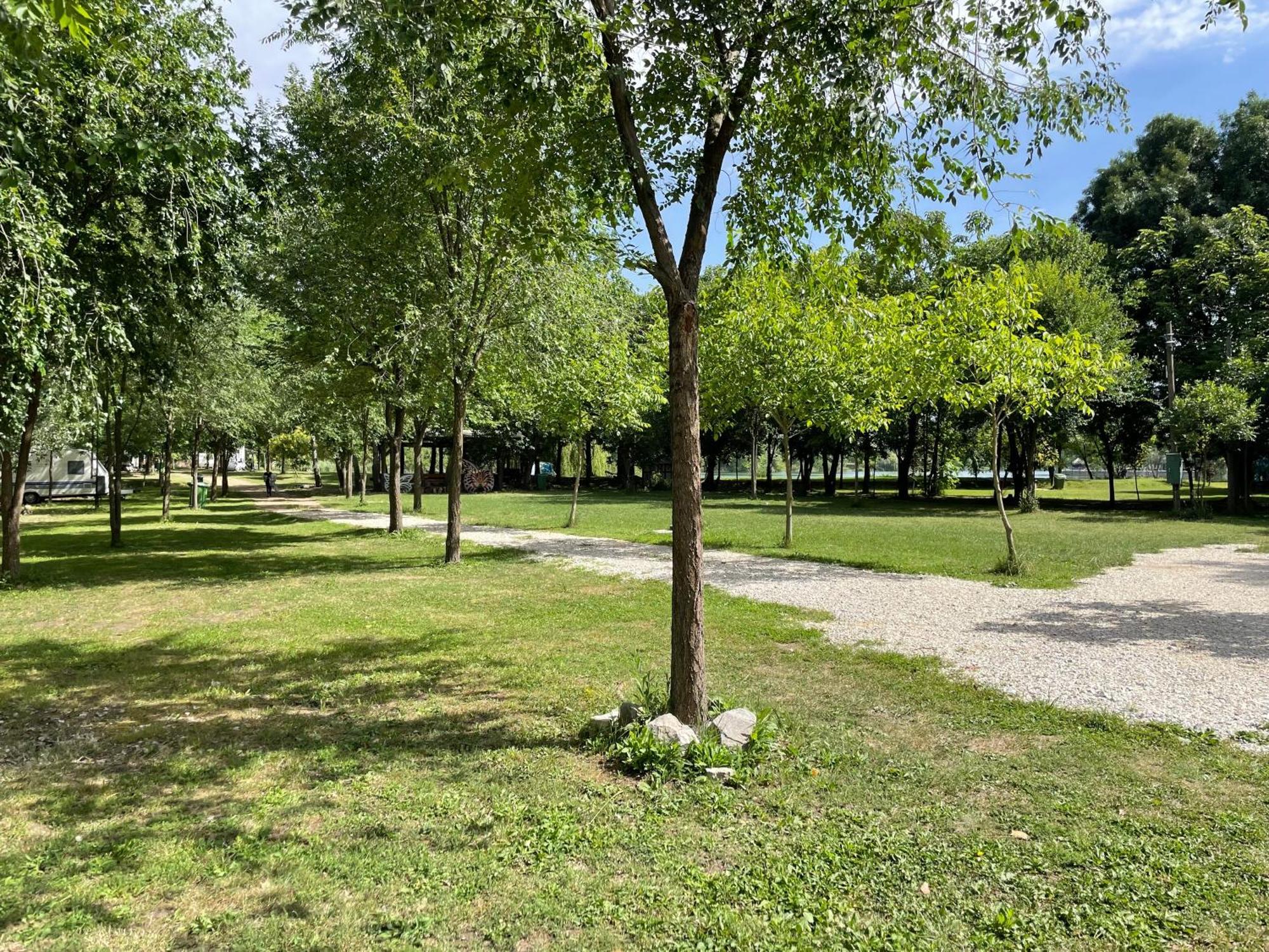 Camping Oaza Bela Crkva  Luaran gambar