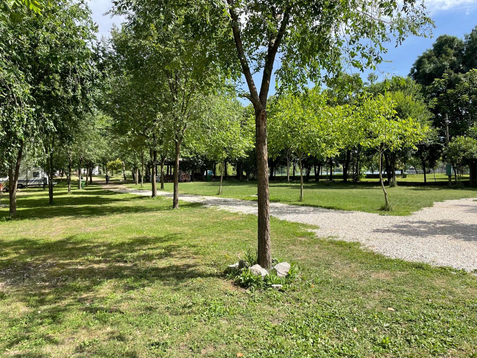 Camping Oaza Bela Crkva  Luaran gambar